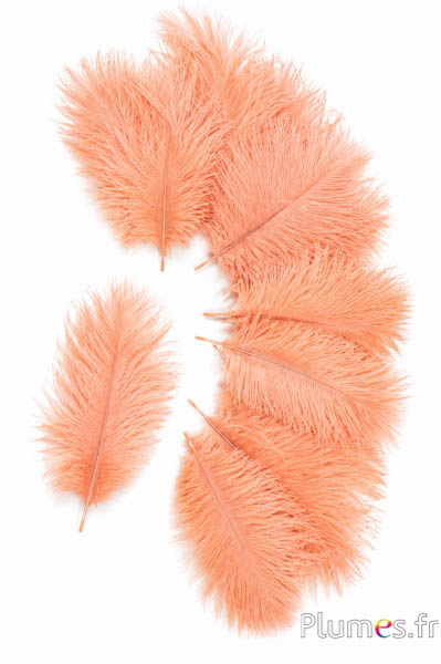 Struisvogel Bellies -8-13 cm - zalm